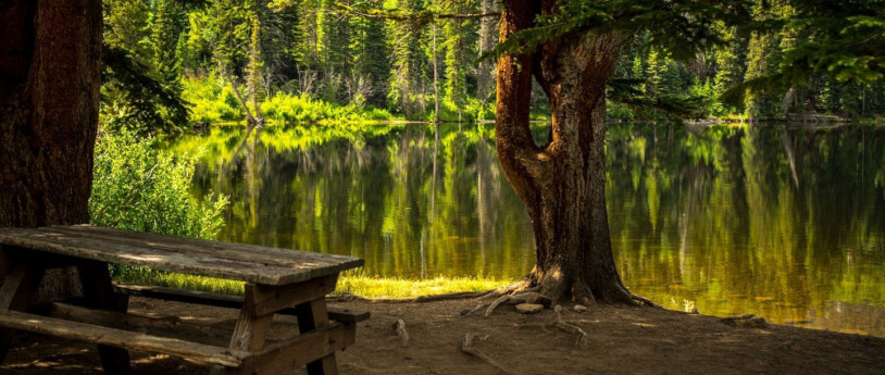 Hay ambiente de picnic en Lombardía