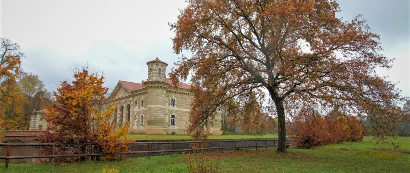 I 10 alberi monumentali più interessanti della Provincia di Mantova