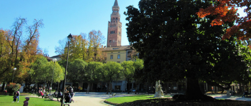 Viaggio tra 10 interessanti alberi monumentali della Provincia di Cremona 