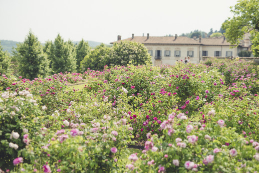 Villa Della Porta Bozzolo