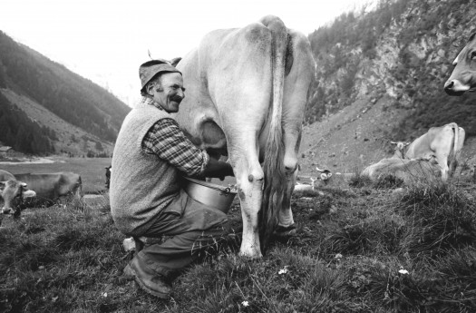 Val Fontana e Piano dei cavalli - In giro per alpeggi