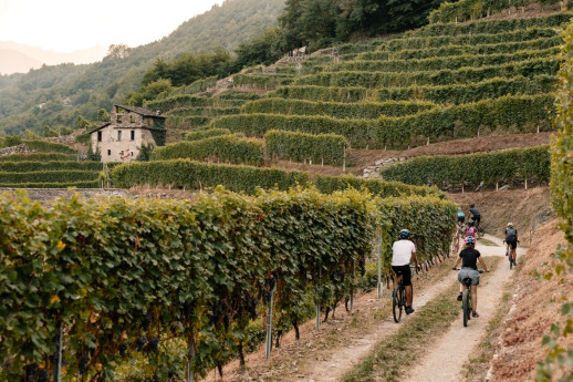 Cicloturismo tra i vigneti di Valtellina