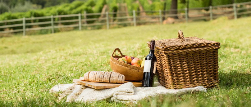 Quando il pic-nic diventa chic