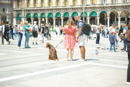 discovering milano