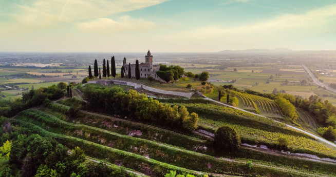 Vigneti in Lombardia@inLombardia