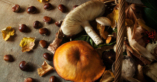 Tra profumi e sapori d’autunno
