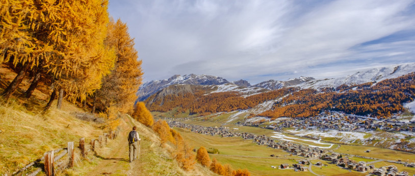 Eventi in Lombardia a Novembre 2025