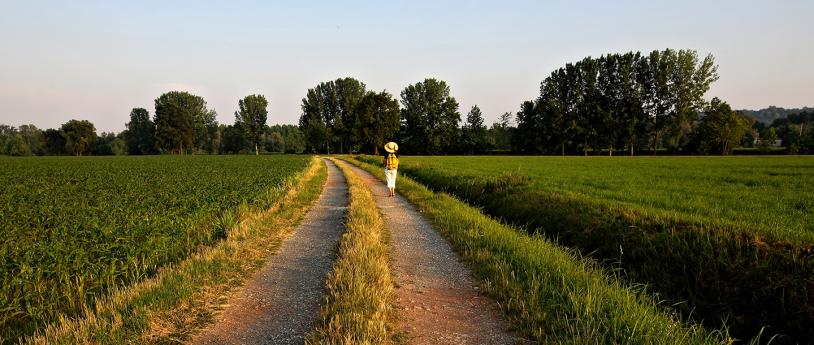 Le Chemin de Saint Colomban