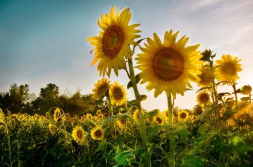 Parco Agricolo Regionale del Monte Netto, Lombardia da visitare