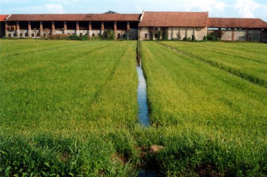 Sud Milano Agricultural Park