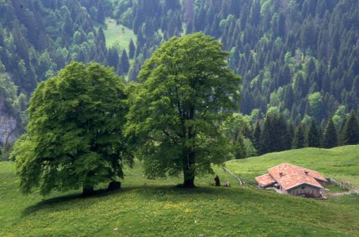 Parco dell'Alto Garda Bresciano