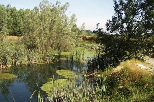 Parc régional du Serio