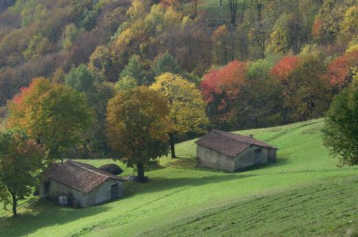 Parque Regional della Grigna Settentrionale