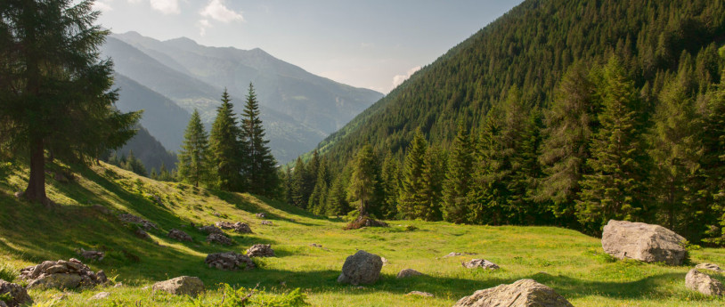 Valtellina per tutte le stagioni