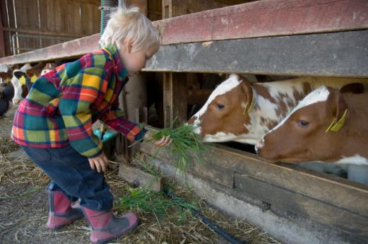 Lodi, domenica in fattoria con tutta la famiglia