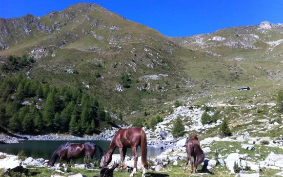 Zu Pferd in der Lombardei
