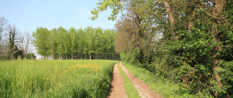 Da Pizzighettone a Crema seguendo la ciclabile delle città murate