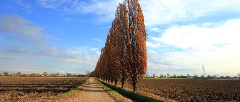 Tra Idroscalo e Martesana