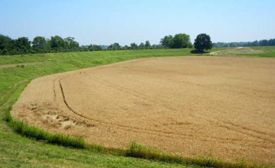 Via degli Abati