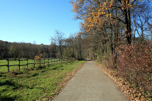 From the Old Town of Bergamo to the Chitò path in the Imagna valley