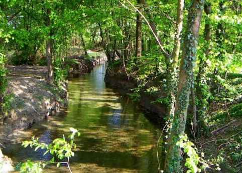 The cycling trail of Fountains 