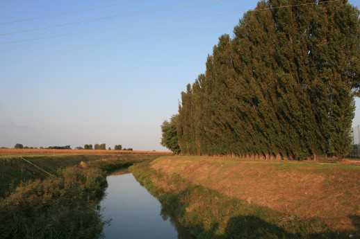 Nelle Terre tra Oglio e Po