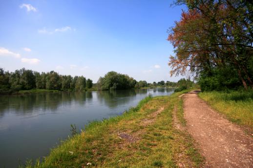 Lungo l'antico alveo del Po
