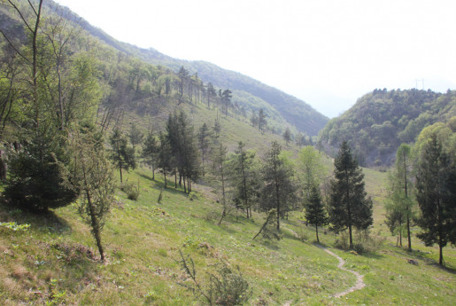 Valle del Freddo: oasi eccezionale 