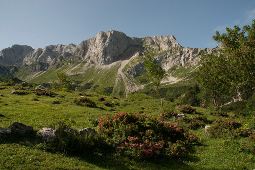 L'abbraccio al Corno Branchino