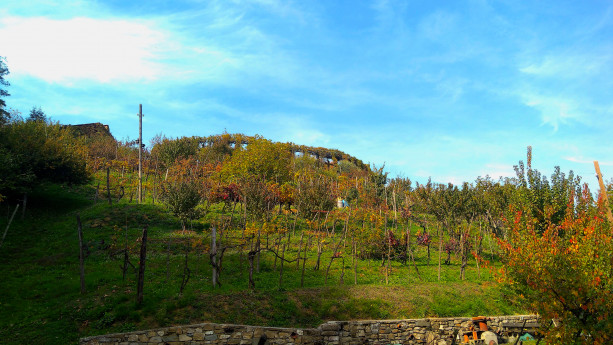 Gita al Roccolo sui Colli di Bergamo