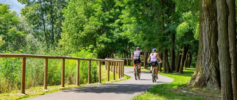 Wine Bike Tour 1 - Family