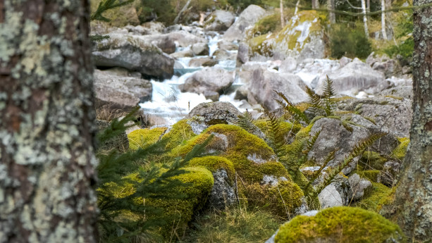 Val di Mello da fiaba 