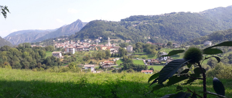 La Via delle Castagne - punto panoramico Zogno