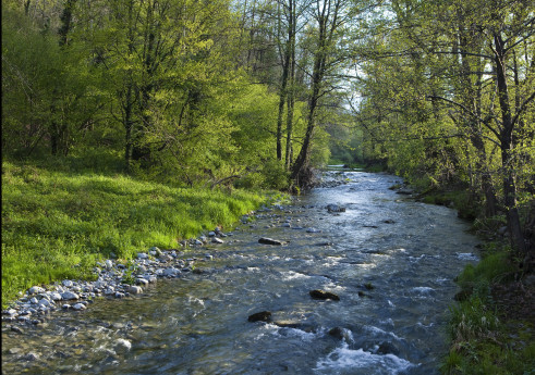 Lo scorrere del Lambro a Caslino d'Erba