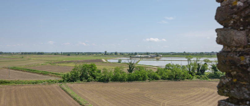 Un tour tra le campagne della Lomellina