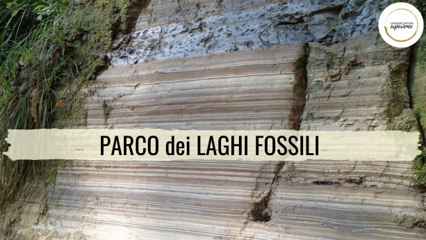 Parco dei Laghi Fossili Parco dei Laghi Fossili