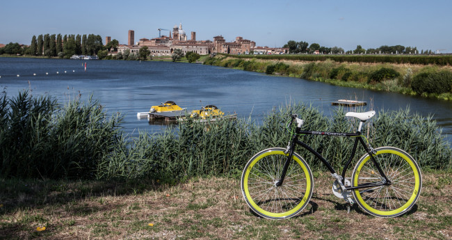 In bicicletta alla scoperta del Parco del Mincio