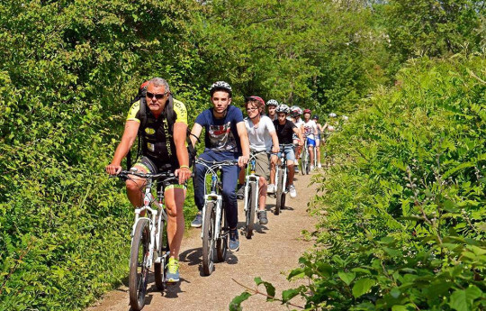 Bike tours Bike tours