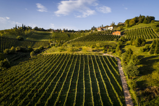 Il Cipresso apre la cantina, presenta i vini DOC di Bergamo