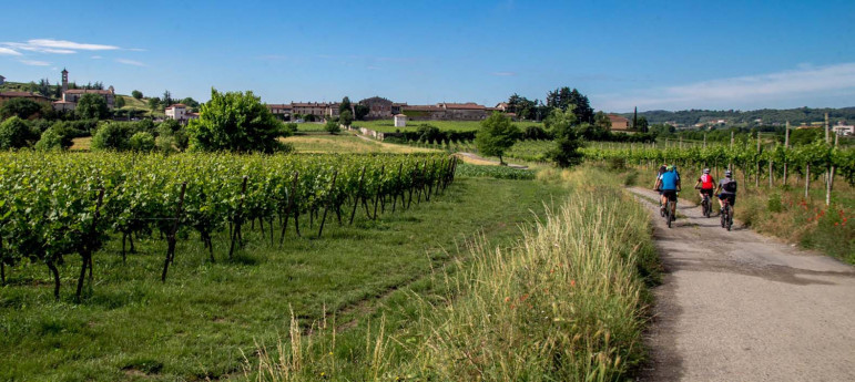 BRUT - Bike Tour Franciacorta