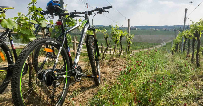 Satèn - Bike Tour Franciacorta