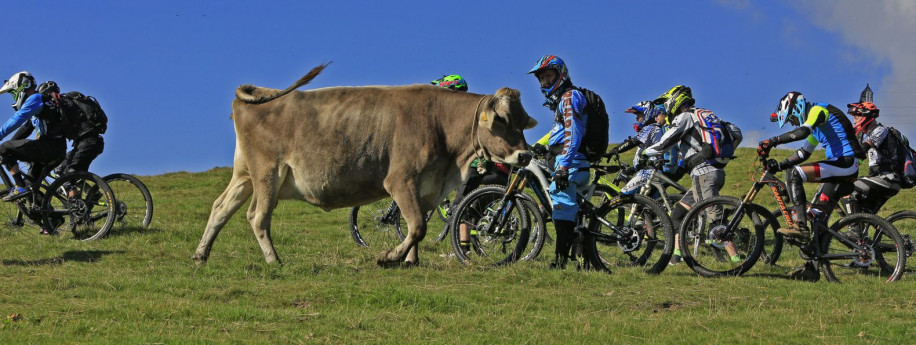 MTB Freeride – 2 days in the Orobie Alps, Bergamo