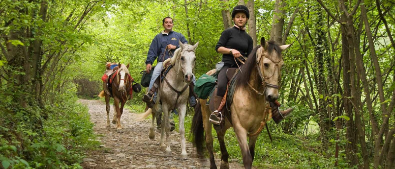 Passeggiata a Cavallo