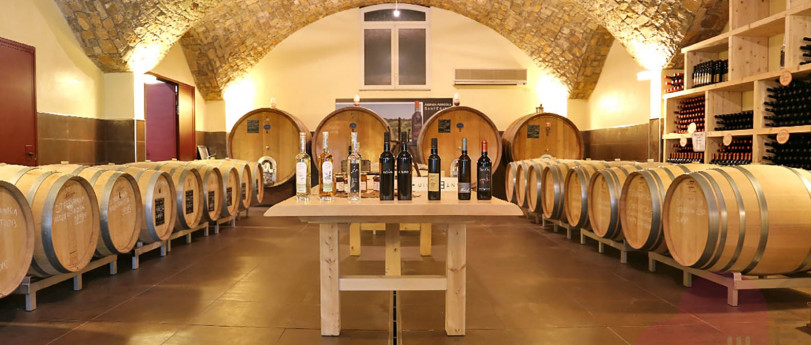 Degustazioni in cantina all'az. agricola S.Egidio - domenica Degustazioni in cantina all'az. agricola S.Egidio - domenica