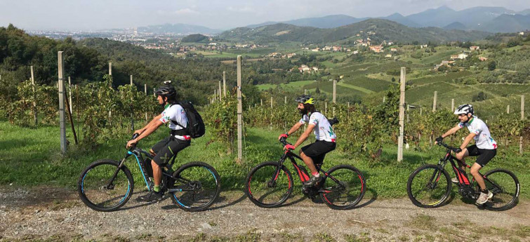 E-Bike Tour Colline del Moscato di Scanzo