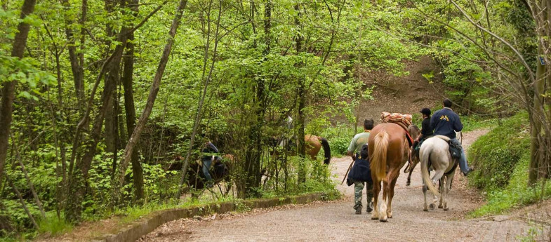 Passeggiata a cavallo con degustazione
