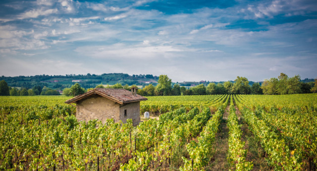 Two days in Franciacorta - by privat minivan