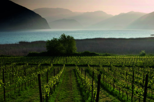 Two days in Franciacorta - by your own means Two days in Franciacorta - by your own means
