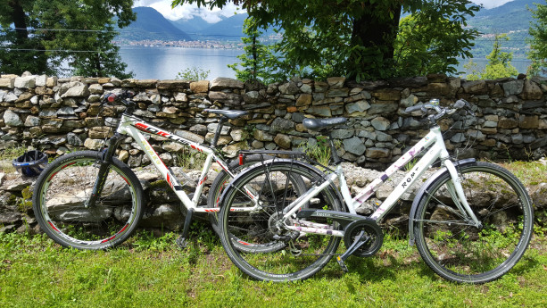 Noleggio biciclette e-bike e tradizionali Noleggio biciclette e-bike e tradizionali