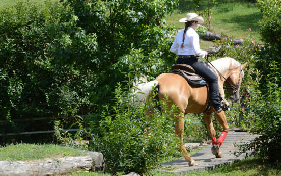 Cavalca come un vero Cowboy - settimana 